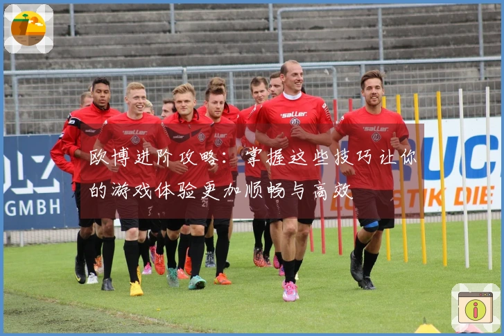 欧博进阶攻略：掌握这些技巧让你的游戏体验更加顺畅与高效