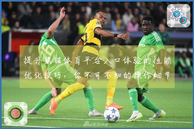 提升熊猫体育平台入口体验的性能优化技巧，你不可不知的操作细节
